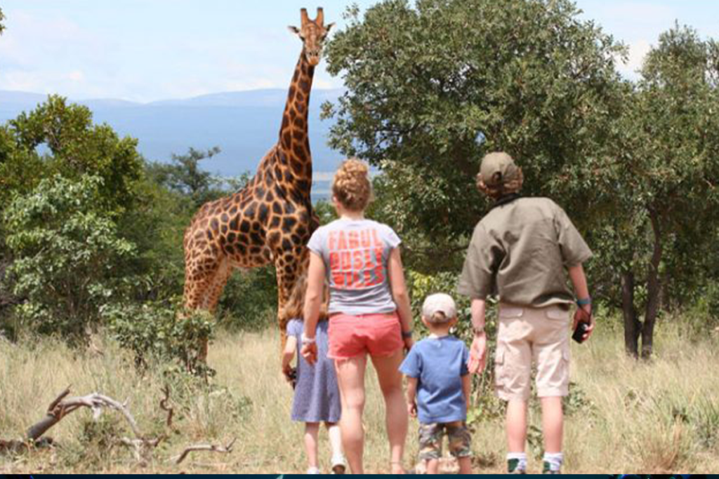 Family-friendly safari adventure