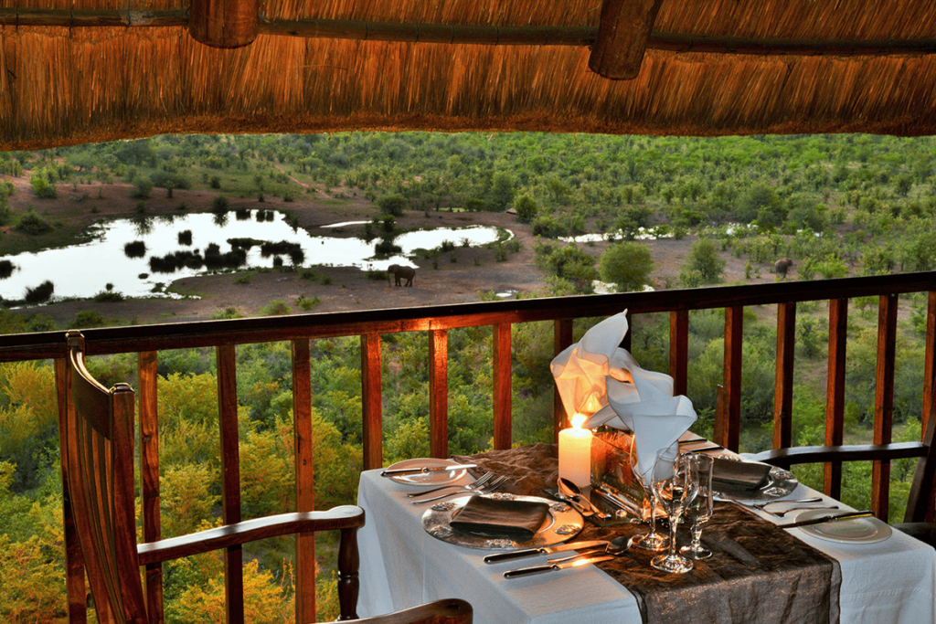 Safari dining experience in the bush